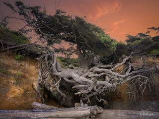 Master Your Photography Part 1 / The Art and Science of Light, Motion, and Creative Vision