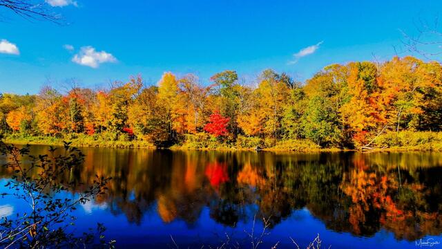 Autumn Reflection