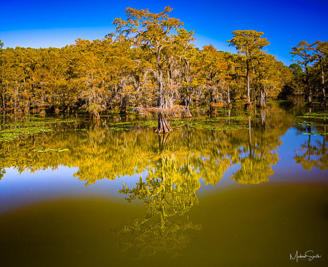 Reflection