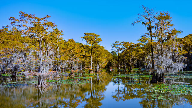 Silent Canoe