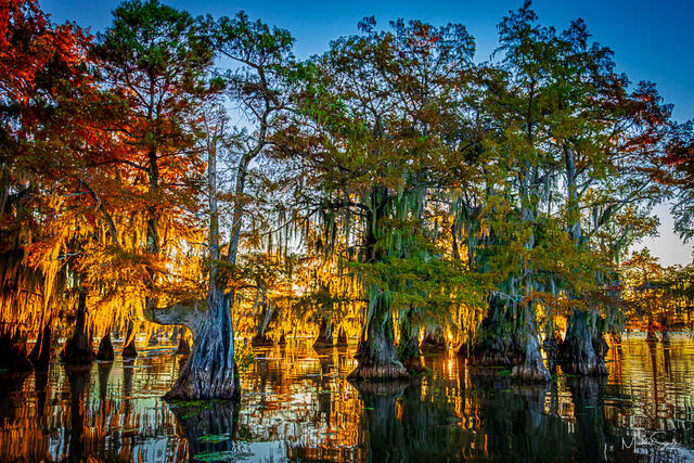 Early Morning November Sunrise at Caddo Lake