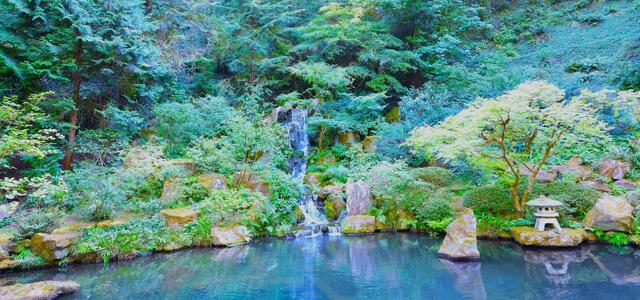 Serenity in Reflection