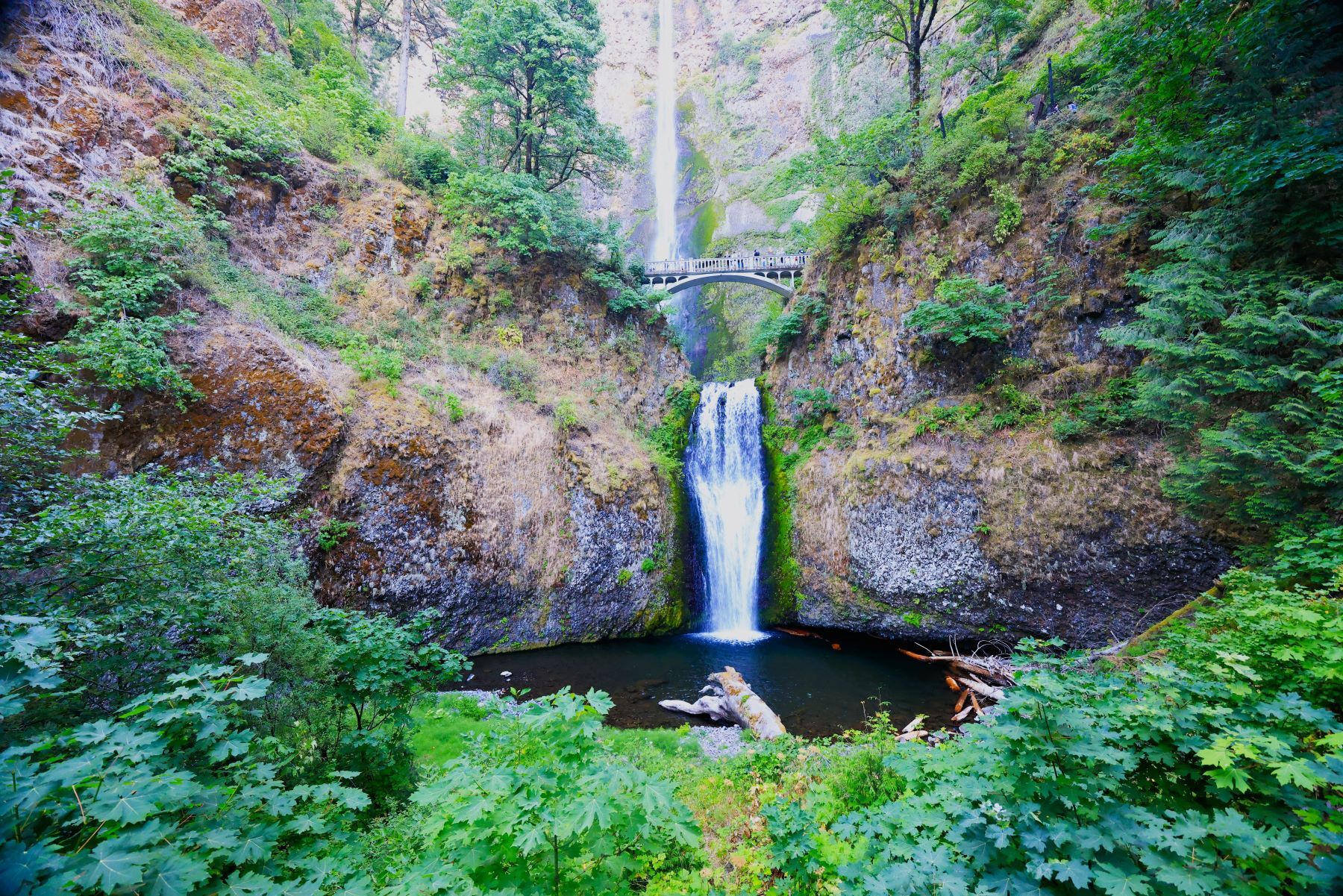 Majestic Beauty: Multnomah Falls and Benson Bridge Experience the Tranquility and Vibrant Colors of Multnomah Falls Through My Lens As I stood patiently at the foot of the...