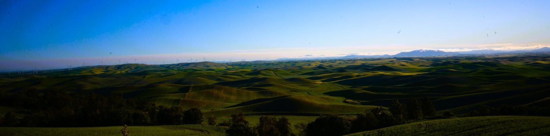 Green Hills Experience the serene beauty of Steptoe, Washington with this panoramic photograph capturing rolling green hills as far as the...