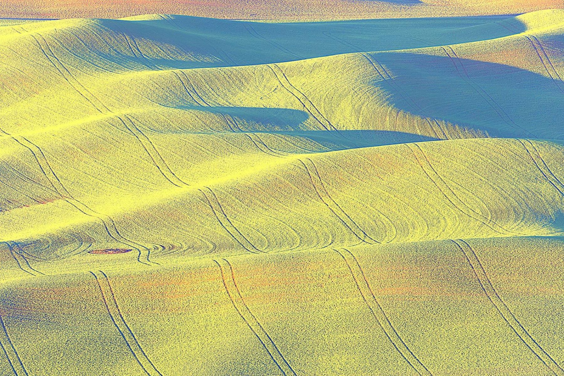 Sunkissed Discover the breathtaking beauty of Steptoe Hills in Washington State, where lush green fields stretch across rolling hills in...